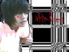 image coment