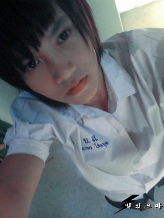 image member