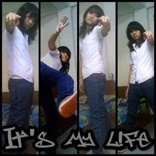 image member