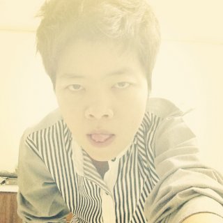 image member